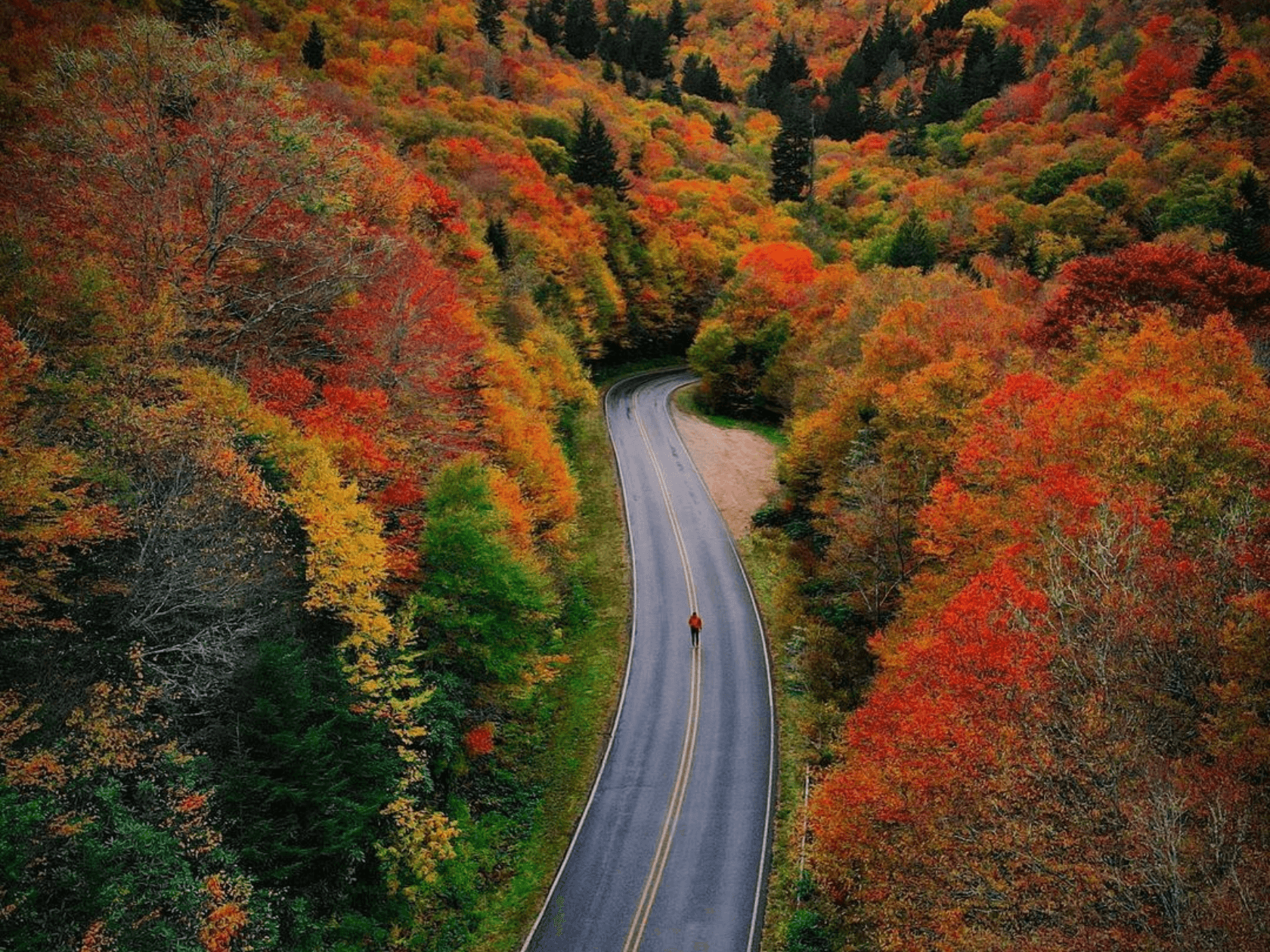 The historic Blue Ridge Parkway with newly turned fall leaves